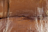 IMG 0415