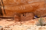IMG 0545