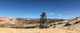 IMG 0554