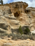 image8
