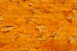 DSC 0237